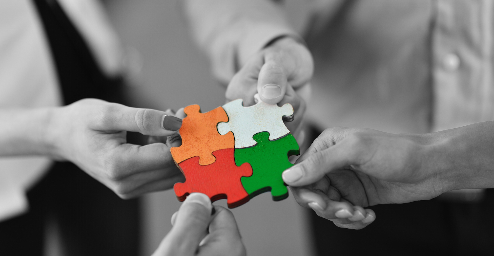 Partnership and LLC.